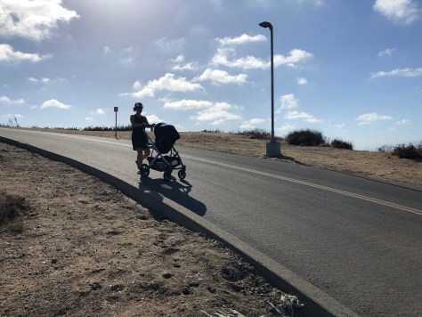 Culver_Hike_uppababy_Vista