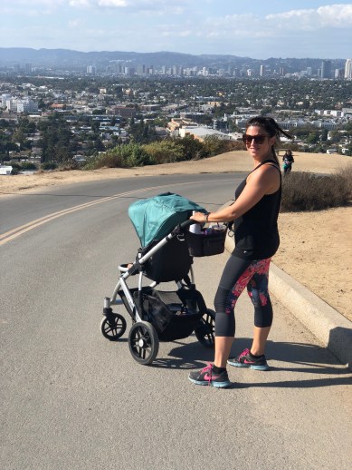 Culver_City_Hill_Hike_Uppababy_Vista_Toddler_chair